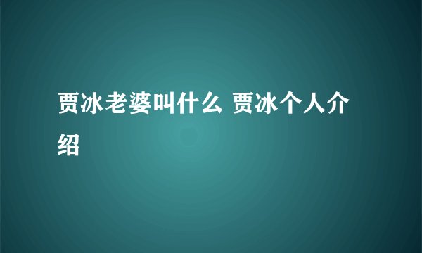 贾冰老婆叫什么 贾冰个人介绍
