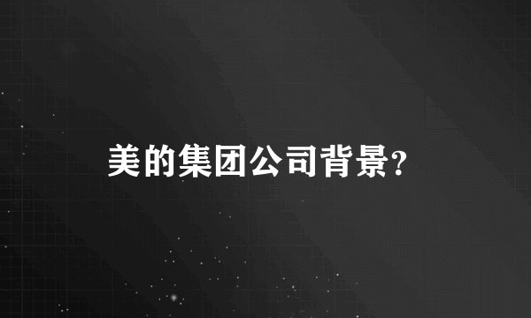 美的集团公司背景？