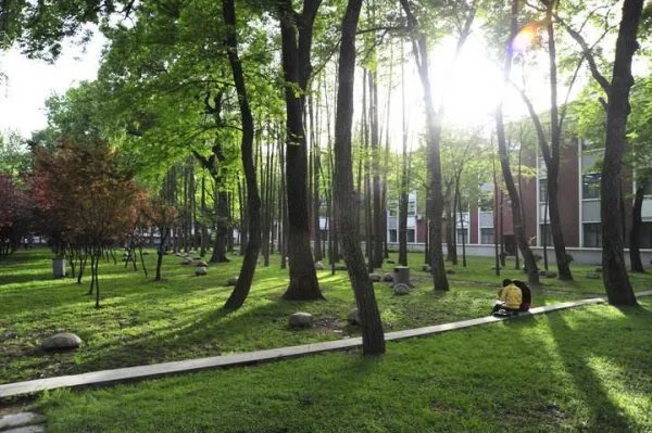 湖北大学老师梁艳萍被停职,是否应该继续追究其责任?
