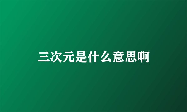 三次元是什么意思啊