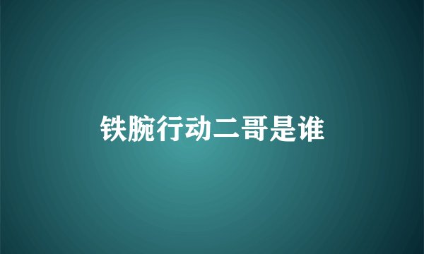 铁腕行动二哥是谁