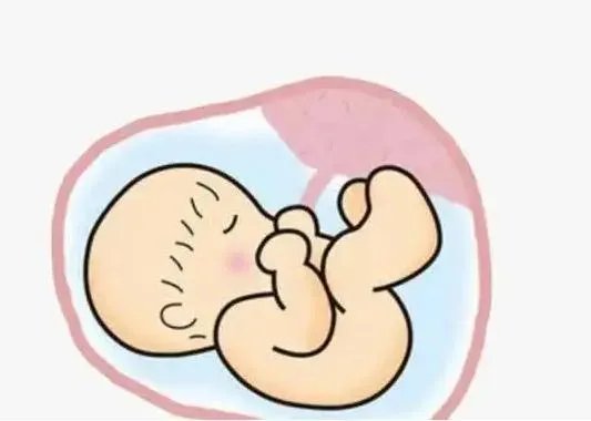 试管价格一览表-2023年湖北供卵试管男男收费标准,内附捐卵价格一览表!