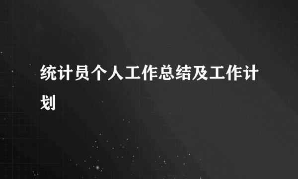 统计员个人工作总结及工作计划