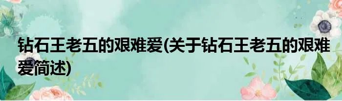 钻石王老五的艰难爱(关于钻石王老五的艰难爱简述)
