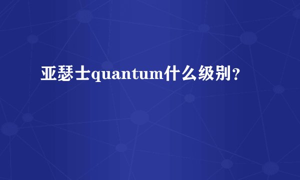 亚瑟士quantum什么级别？