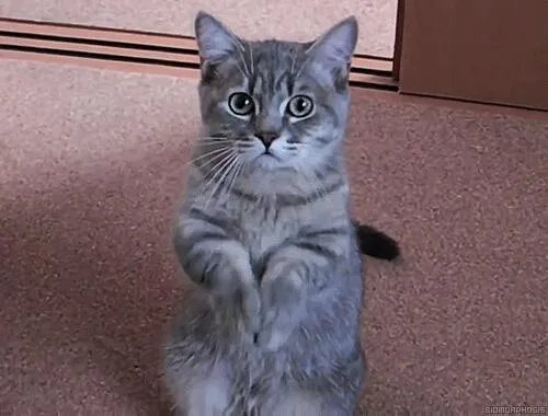 怎么克制新版芈月？