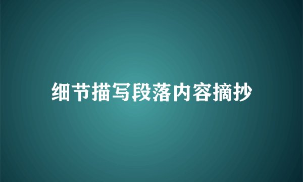 细节描写段落内容摘抄