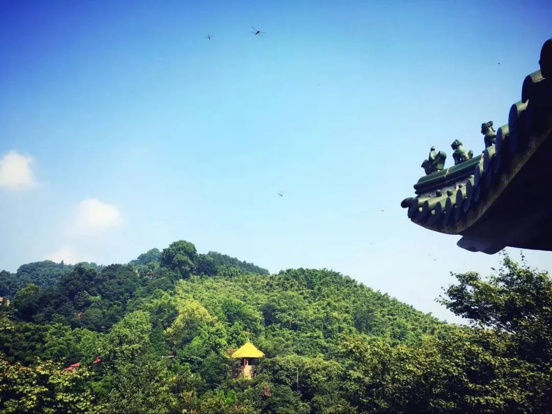 莫干山行,我们在一起!【易居空间装饰】