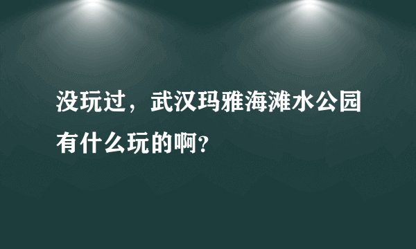 没玩过,武汉玛雅海滩水公园有什么玩的啊?