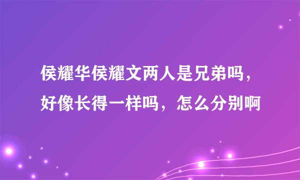 侯耀华侯耀文两人是兄弟吗，好像长得一样吗，怎么分别啊