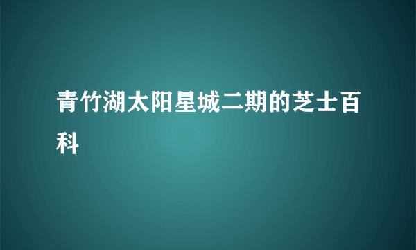 青竹湖太阳星城二期的芝士百科