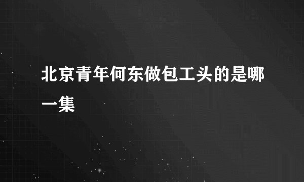北京青年何东做包工头的是哪一集