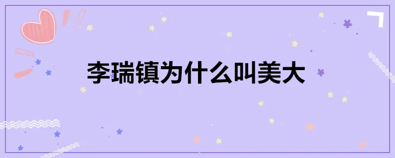 李瑞镇为什么叫美大