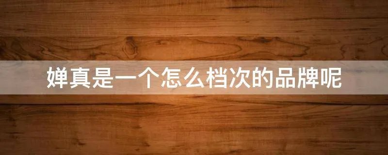 婵真是一个怎么档次的品牌呢