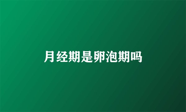 月经期是卵泡期吗