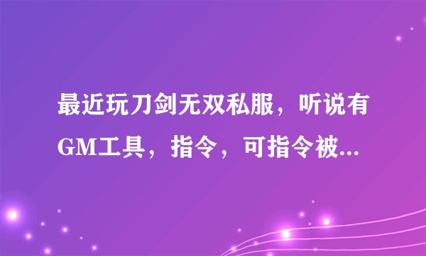 最近玩刀剑无双私服，听说有GM工具，指令，可指令被屏蔽，有谁能够给我给一下GM工具，并教我怎么使用，谢