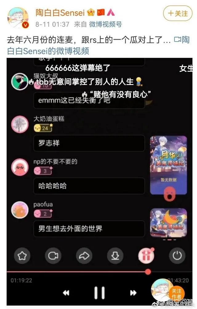 陶白白是什么梗?