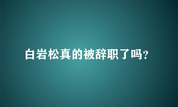 白岩松真的被辞职了吗?