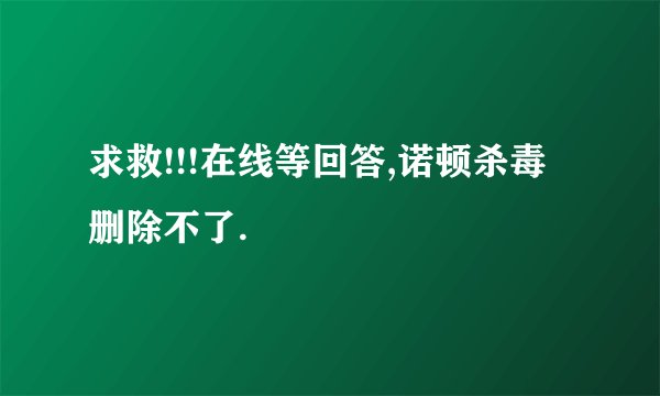 求救!!!在线等回答,诺顿杀毒删除不了.