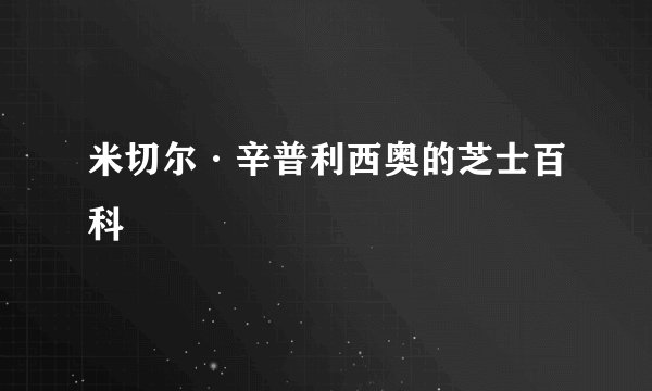 米切尔·辛普利西奥的芝士百科