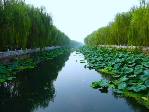 谁不说俺家乡好歌词是什么意思?