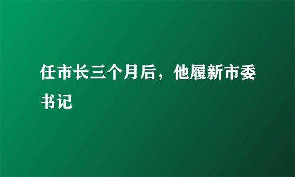 任市长三个月后，他履新市委书记