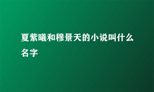夏紫曦和穆景天的小说叫什么名字