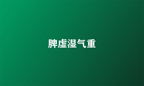脾虚湿气重