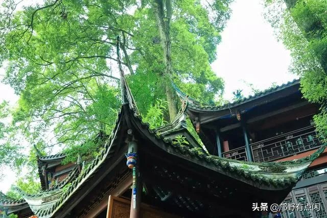 成都青城山好玩吗?