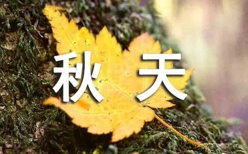 秋天的好词好句