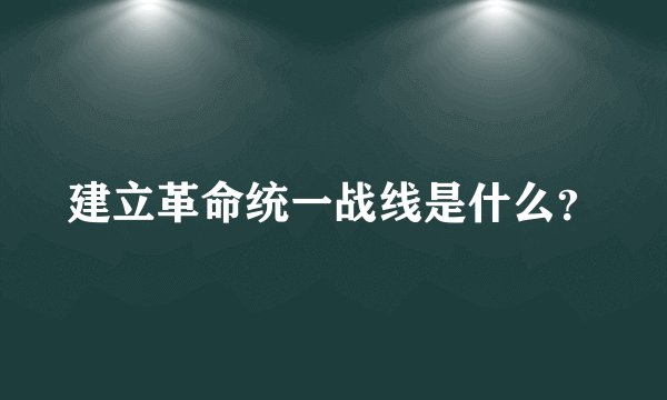 建立革命统一战线是什么?