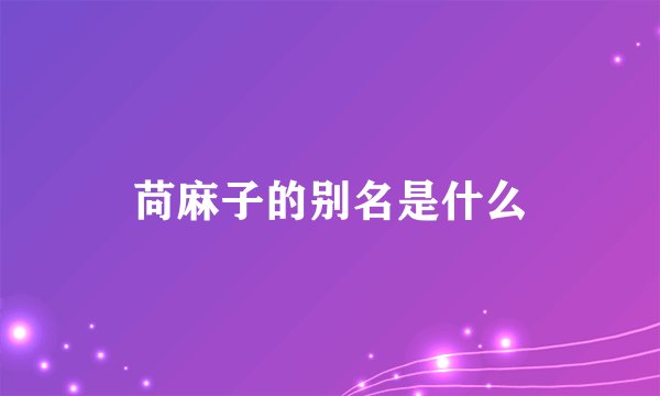 苘麻子的别名是什么