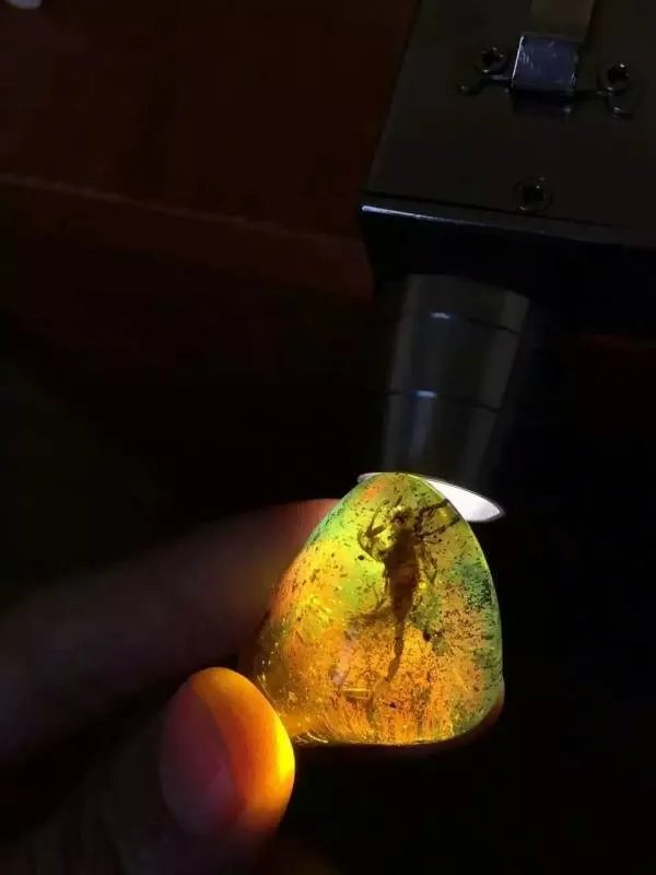 琥珀蜜蜡,你是怎么佩戴的,戴错了可是要出大事的