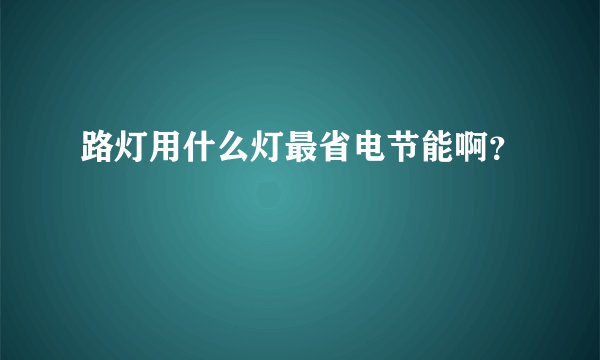 路灯用什么灯最省电节能啊？