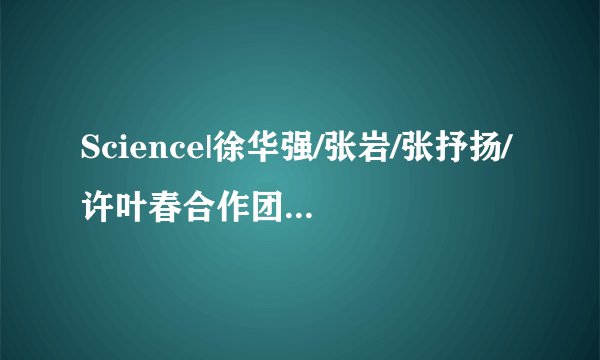 Science|徐华强/张岩/张抒扬/许叶春合作团队解析新冠重要药靶RNA复制酶结合瑞德西韦的结构并揭示其抑制机制