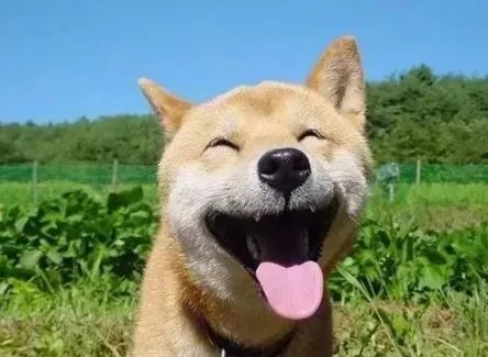大合唱《歌声与微笑》的串词