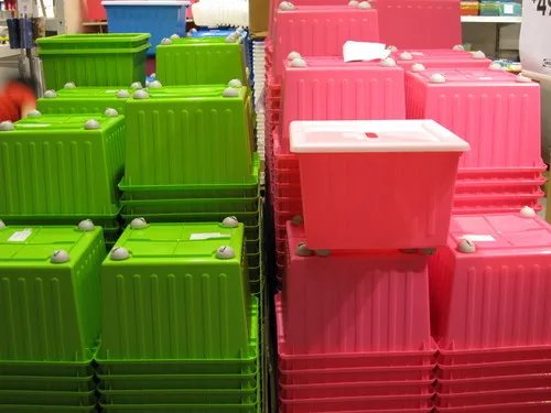 1210万像素实拍样张欣赏