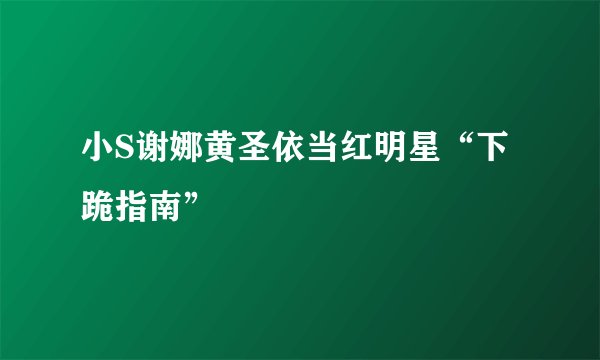 小S谢娜黄圣依当红明星“下跪指南”