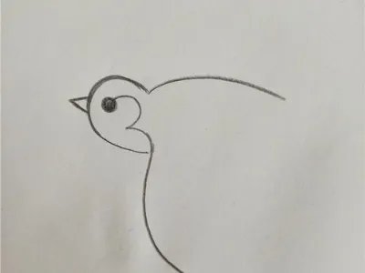 燕子怎么画