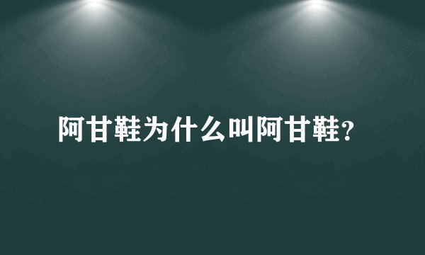 阿甘鞋为什么叫阿甘鞋？