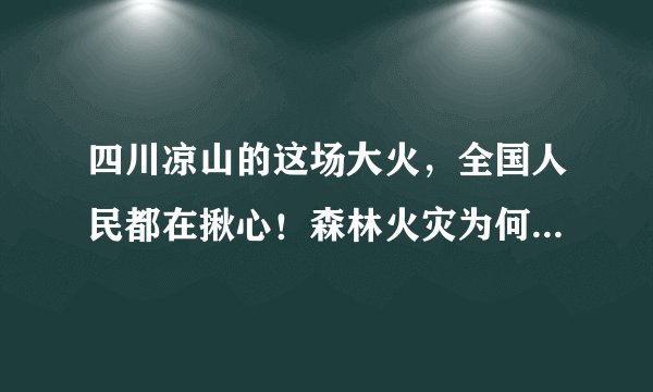 四川凉山的这场大火,全国人民都在揪心!森林火灾为何这么可怕?