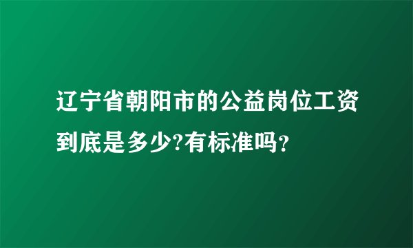 辽宁省朝阳市的公益岗位工资到底是多少?有标准吗？