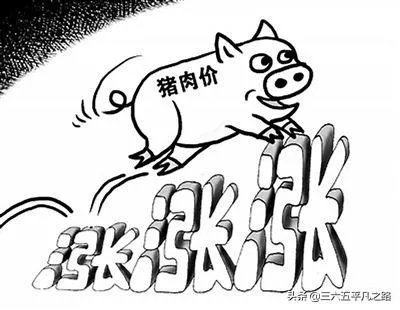7月14日,10个省份的生猪价格突破了10元/斤的行情,这个行情能持续多久?