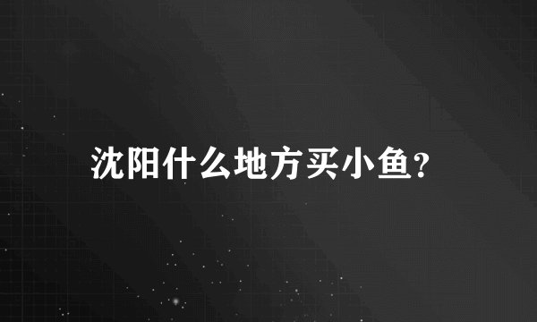 沈阳什么地方买小鱼？