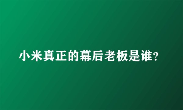 小米真正的幕后老板是谁？