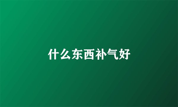什么东西补气好