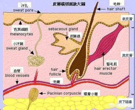 每天用食用盐洗脸好吗?
