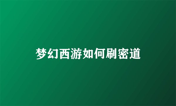 梦幻西游如何刷密道