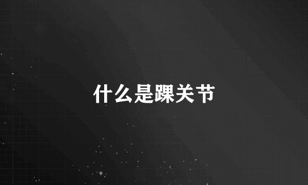 什么是踝关节