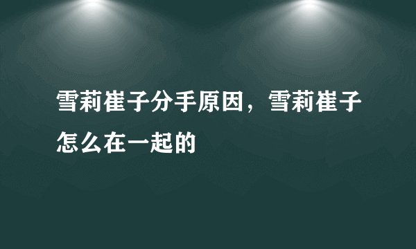 雪莉崔子分手原因,雪莉崔子怎么在一起的